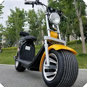 Factory New Steel Frame Electric Scooters 2000W Brushless Citycoco Adult Electric Motorcycle For Men Double Disc Brake