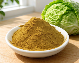 Polvere di Estratto di Cavolo 10:1 Brassica Oleracea, Polvere Fine Idrosolubile Liofilizzata, Grado Alimentare, Vendita all'Ingrosso - Product Image 2