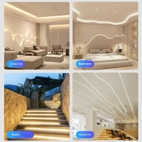 Tube en silicone personnalisé 12V 24V 220V pour bande LED IP68, extrusion unique, flexible, pliable, néon LED extérieur 10*10 20*10