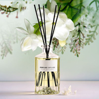 Bouteille de Diffuseur d'Arôme en Verre Transparent de 250 ml avec Bâtonnets, Étiquettes Personnalisées pour Décoration d'Intérieur, avec Boîte