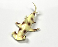 Nouveau design plastique requin marteau jouet animal de mer extensible Figure