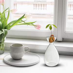 वेस ग्लास एवोकैडो प्लांट स्टार्टर ग्लास वेज़ एवोकैडो पेड़ उगाने वाले पौधे ग्लास वेस - Product Image 3