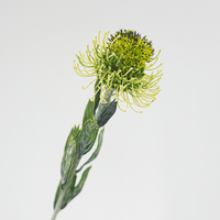 Fleur artificielle réaliste au toucher, branche unique, type coussin de fleurs, pour décorations de Noël, de remise de diplôme, d'hôtel et de maison, vente en gros