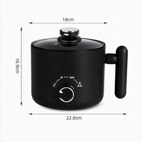 YUEDISI 110V 1.5L Marmite Électrique en Acier Inoxydable 600W, Cuisinière à Commande Manuelle, Poêle Électrique Antiadhésive avec Couvercle en Verre