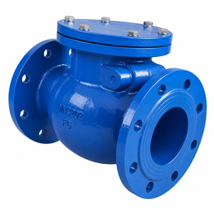 Clapet anti-retour à bride en fonte ductile standard avec joint souple en caoutchouc EPDM, personnalisable OEM ODM, vente en gros - Product Image 2