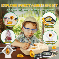 STEM Gem stone Bugs Toys Ausgrabungs-Science-Kits Künstliche 8 Insekten Harz 8 Insect Amber Digging Kit