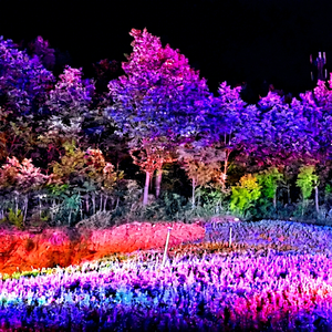 Projecteur LED pour arbres, étanche IP65, mobile, pour parcs, hôtels, jardins, centres de villégiature, cours, grands projets d'éclairage paysager - Product Image 2
