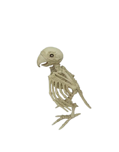 Manufacturers Wholesale High Quality Popular <b>Plastic</b> Birds Toys <b>Animal</b> Skeleton Model <b>Plastic</b> Halloween Crafts - Product Image 3