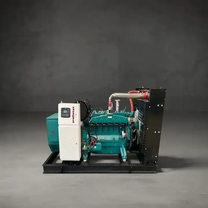 100KW 125KVA 100kw Biogas Plant to