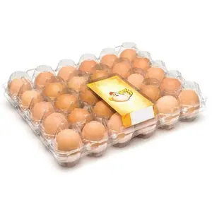 Eier kartons 50 zählen für das Halten von 6 Eiern zur Lagerung und zum Transport von umwelt freundlichen transparenten Kunststoffen