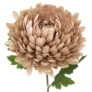 Flores Artificiales de Seda, Rama de Crisantemo con Hojas Verdes, Tallo de Crisantemo Grande Artificial para Arreglos Florales - Product Image 6