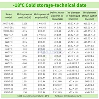 Unité de condensation pour entrepôt frigorifique de poulet - Congélateur -18°C - Emballage en caisse