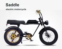 Oem מכירה לוהטת שומן צמיג ארוך אוכף שני מושב E אופניים ארוך מושב עבור חשמלי אופני 73
