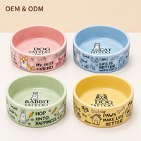 Bol à nourriture pour animaux de compagnie personnalisé et coloré, bol d'alimentation pour chien, chat, lapin avec un imprimé animal mignon pour les fournitures pour animaux de compagnie à domicile