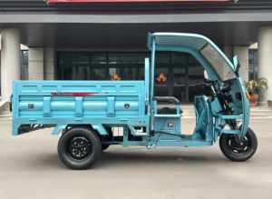 Tricycle électrique TECREK à trois roues toit pour adultes utilisation passager à trois roues - Product Image 5