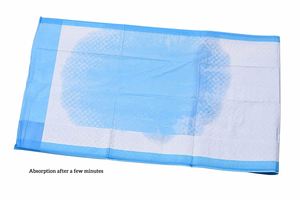 Premium Disposable <b>Puppy</b> Training Mat Super Absorbent Cloth SAP Pads Waterproof CE Certified Custom Fashion Style - Product Image 5
