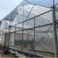 Serre commerciale pour la culture de tomates - Couverture en PE durable et ventilation pour légumes, fruits, fleurs, arbres