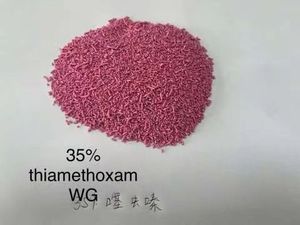 ไธอะเมทอกแซม CAS 153719-23-4 70%WDG 25% WDG เม็ดยาเม็ดละลายน้ำได้ ยาฆ่าแมลงชนิดเข้มข้นสำหรับกำจัดแมลงศัตรูพืชในข้าว ฝ้าย ไรวงศ์ ไรวงจักร - Product Image 6