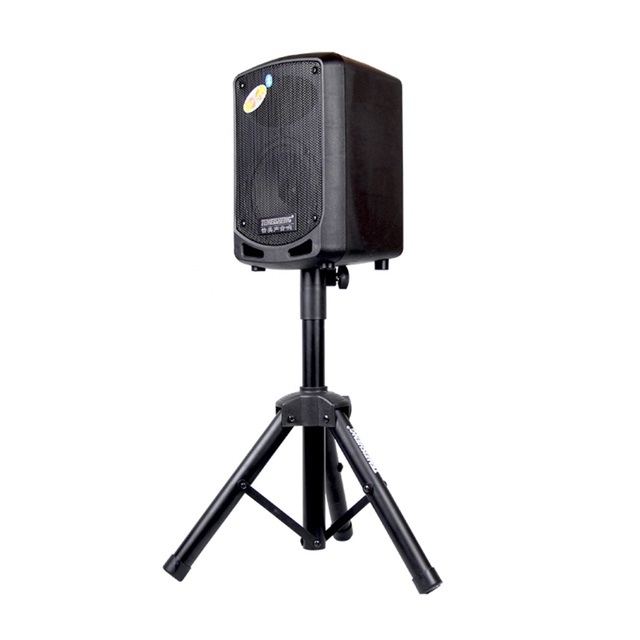 Factory Wholesale Bt Speaker 6.5inch Horn Speaker Big Trolley Speaker With USB