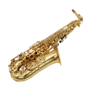 Chuyên nghiệp chất lượng cao Alto Saxophone woodwind cụ cho Bán Sỉ