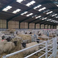 Edificio de Granja de Estructura de Acero Grande para la Cría de Cabras, Vacas y Cerdos con Garantía de 5 Años