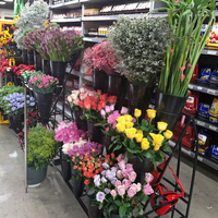 Présentoir de fleurs en métal simple face robuste pliable avec étagère de présentation de pot de fleurs de 16 pièces pour vitrine de fleurs