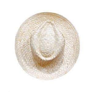 2026 New Style Straw Summer <b>Hat</b> Straw <b>Hat</b> for Men Straw <b>Hats</b> with Custom logo From Eco2go Vietnam - Product Image 1