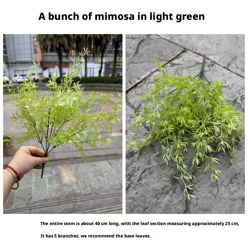 4# Beam Mimosa light green