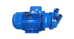 2bv2071 Waterring Vacuümpomp - Product Image 2