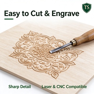 Plaques de bois de tilleul de 2 mm, contreplaqué mince pour gravure laser, brûlage du bois, artisanat, modèle en bois, planche en bois - Product Image 6