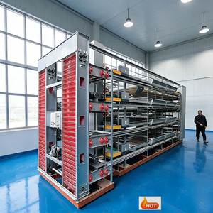 High Profit <strong>Potential</strong> High Precision Poultry Cage Line Chicken Cage Solution Large Scale Chicken Cage Egg <strong>Export</strong> Farm - Product Image 1