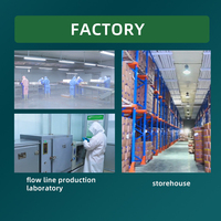 China Bulk Verse Vriesverse Wilde LQF HACCP/BRC/Kosher Gecertificeerde Bolvormige Blauwe Bosbessen