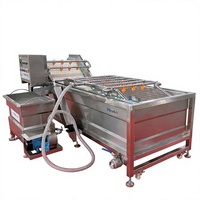 Bubble Cleaning Groente En Fruit Wasmachine Tomaat Fruit Wasmachine Machine