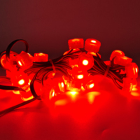 Guirlande lumineuse LED 20 mm IP67, contrôle multifonction, lumières de Noël d'extérieur pour jardin, paysage, corps en PC, corps en PC, indice de protection IP