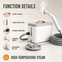Limpiador a Vapor Portátil para el Hogar, Limpieza de Campanas de Cocina, 110V 220V, Generador de Vapor con Certificación CE