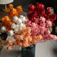 Großhandel für konservierte Orangen und Ananas für Hochzeitsblumenarrangements, Valentinstag, Muttertag, Weihnachtsdekorationen