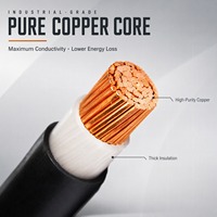 Cable Unipolar Aislado XLPE/PE/PVC, Cobre/Aluminio Sólido o Trenzado, Baja Tensión 0.6/1kv, para Calefacción y Energía Industrial