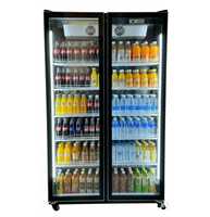 Réfrigérateur commercial pour boissons, 5 étoiles, à économie d'énergie, vertical, à température unique, avec porte vitrée, 300L, 2-8°C