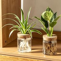 Vase en verre borosilicate avec couvercle en liège, vases hydroponiques pour boutures de plantes, arrangements floraux, décoration pour la maison et le bureau