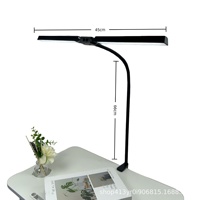 Lampe de bureau LED transfrontalière Boyid en plastique, alimentée par USB, à commande tactile, col de cygne, double tête, à pince, pour lecture sur écran d'ordinateur