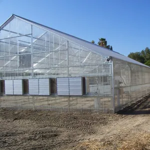 Agricoltura Poli Tunnel In Policarbonato Campata unica Luce Privazione di Mancanza di Serra