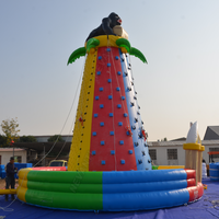 Taille XXL personnalisée PVC Défi de montagne Combo Durable Robuste Gonflable Escalade Mur Rock Tower pour le plaisir en plein air Jouer