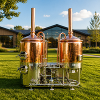 Équipement de brassage de bière en cuivre rouge Tonsen 500L, système de brasserie complet 5HL, brasserie en cuivre pour brasserie et restaurant