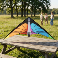 SUNEYE SEF17 Zhejiang Kite 2.4m Dual-Line Polyester Fabric Durable Stunt Sports Soaring Swallow Ready Fly Adults Freestyle 30m