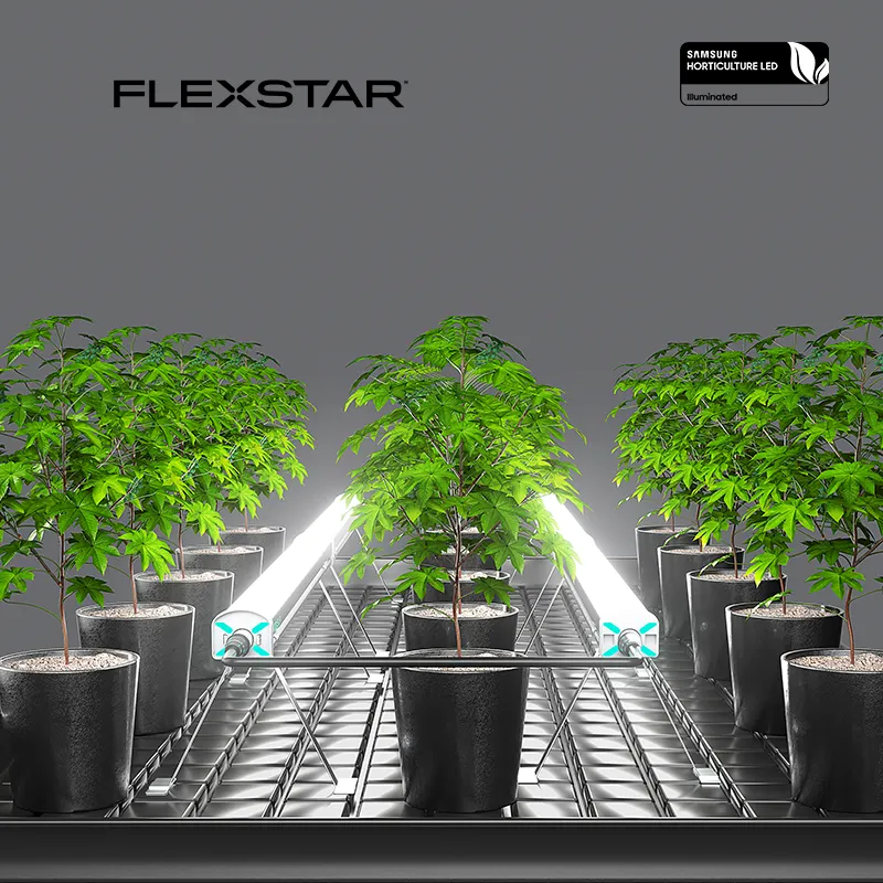 Flexstar Factory Direct Supply 5-Year Warranty High Yields Under Canopy Led Light Bar 120W