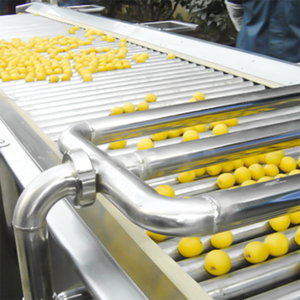 Ligne de production en conserve de pêche jaune en conserve pour la ligne de production de viande de porc <span class=keywords><strong>Jambon</strong></span> Bouilli Boeuf - Product Image 4