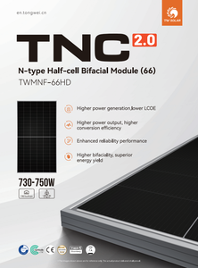 Module solaire monocristallin bifacial demi-cellule de type N TW <span class=keywords><strong>Solar</strong></span> 730 750W 735W 740W 745W pour système solaire - Product Image 2