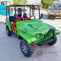 Mini Jeep tout-terrain 4x4 à essence, Buggy des dunes, Véhicules Jeep 2 ou 4 places, Mini Jeep électrique pour adultes à vendre
