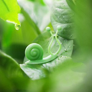 <span class=keywords><strong>Support</strong></span> multifonctionnel pour plantes grimpantes de jardin, <span class=keywords><strong>support</strong></span> pour plantes 3D, fixation murale pour plantes grimpantes, clips - Product Image 4