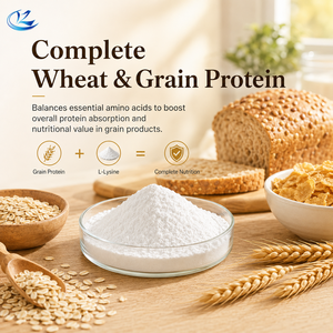 Vendita all'Ingrosso <span class=keywords><strong>di</strong></span> Polvere <span class=keywords><strong>di</strong></span> L-Lisina Grado Alimentare, Potenziatore Nutrizionale, Miglior Prezzo, Certificato ISO e HALAL - Product Image 3